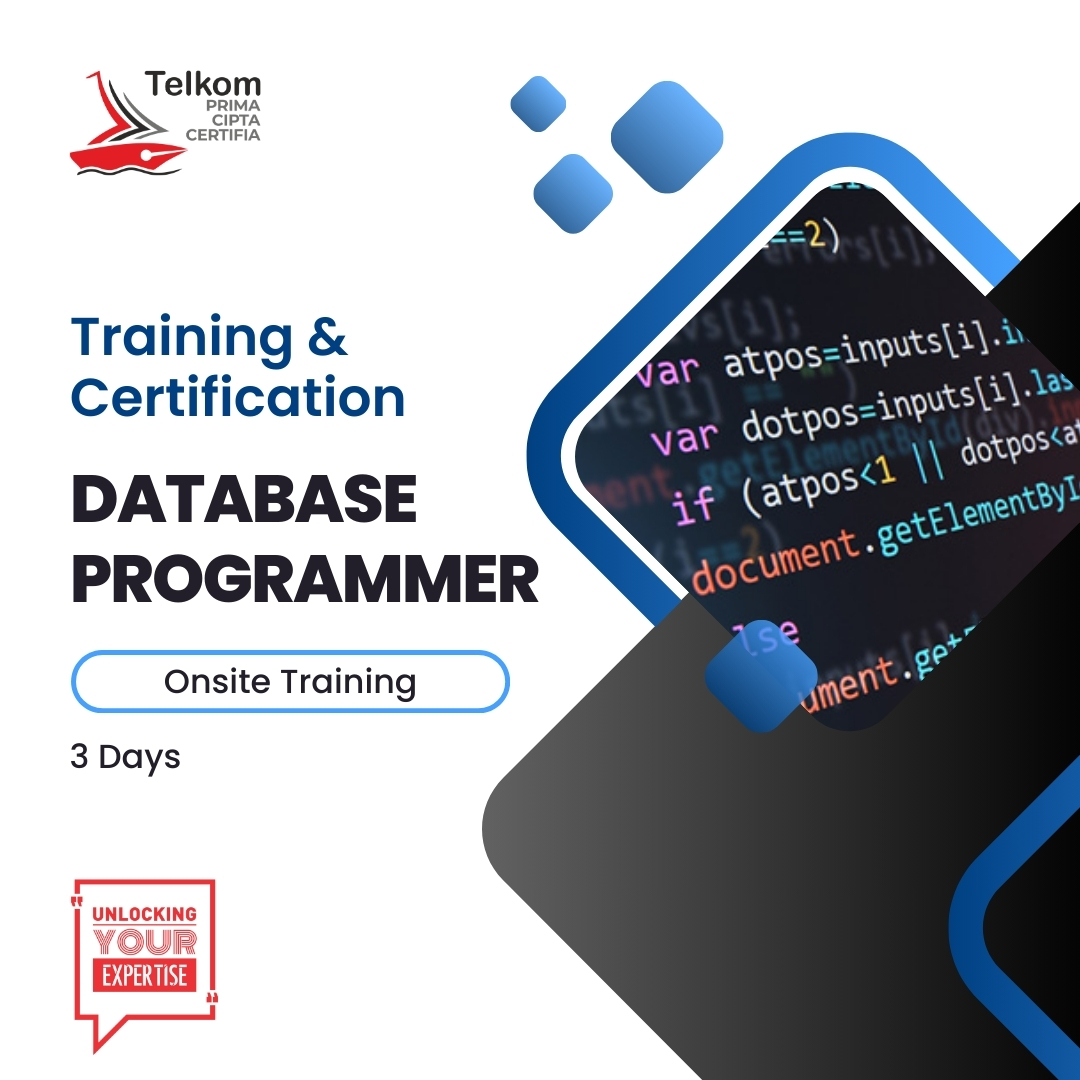 Database Programmer